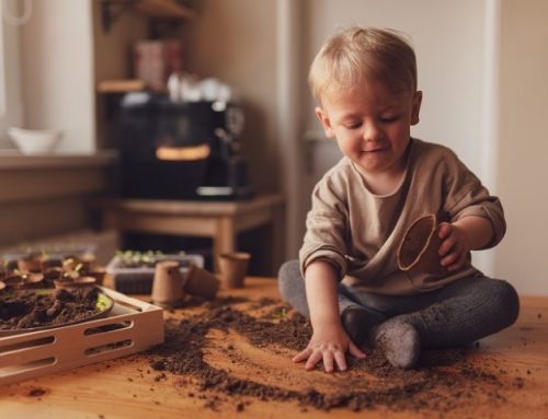 En visio – Les comportements de notre enfant qui font monter notre colère