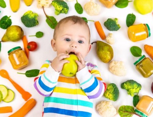 Café poussette – La diversification alimentaire de 4 mois à 3 ans
