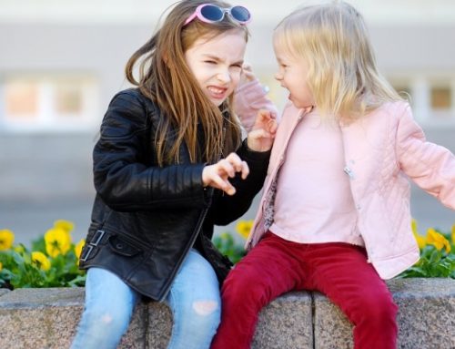 Atelier – Comprendre les conflits et rivalité dans les fratries